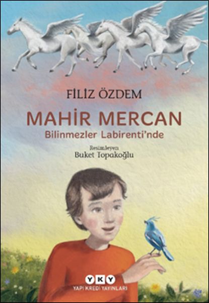Mahir Mercan - Bilinmezler Labirenti’nde-zoom-