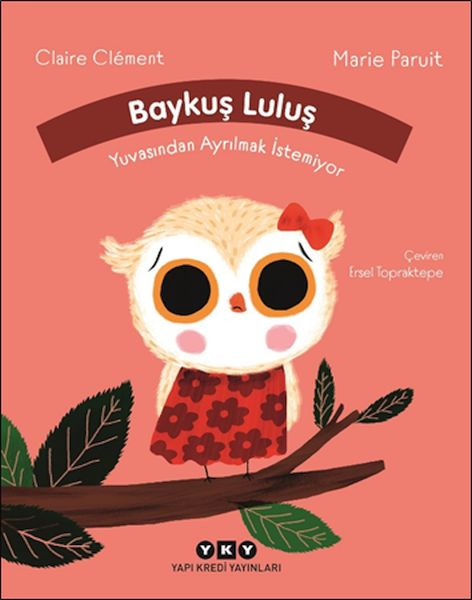 Baykuş Luluş Yuvasından Ayrılmak İstemiyor-zoom-