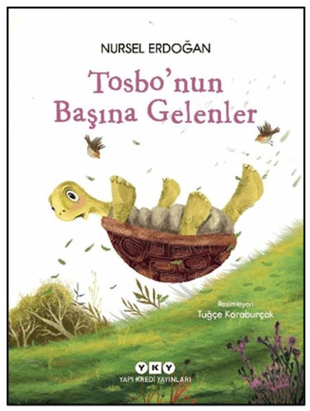 Tosbo'nun Başına Gelenler-zoom-