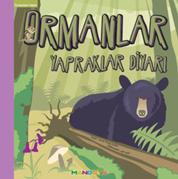 Ekosistem - 5/ Ormanlar : Yapraklar Diyarı-zoom-