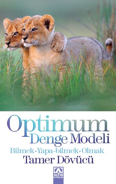 Optimum Denge Modeli-zoom-