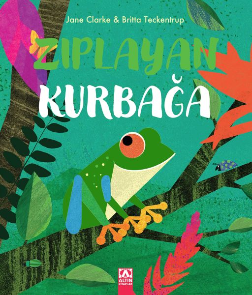 Zıplayan Kurbağa-zoom-