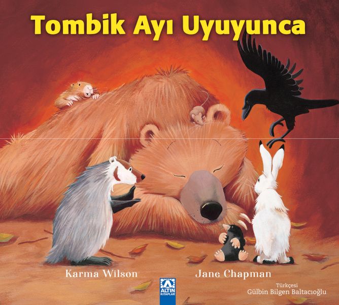 Tombik Ayı Uyuyunca-zoom-