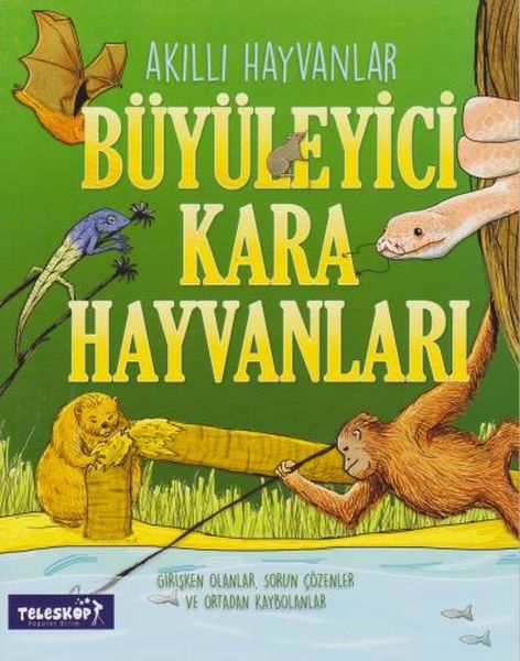 Akıllı Hayvanlar Büyüleyici Kara Hayvanları-zoom-