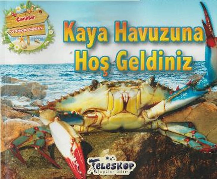 Kaya Havuzuna Hoş Geldiniz-zoom-
