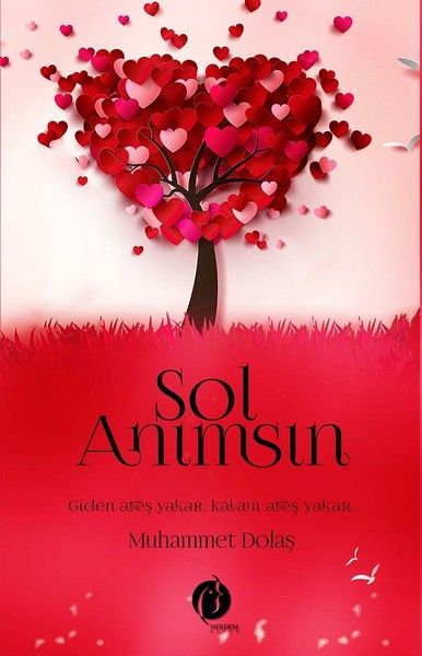 Sol Anımsın-zoom-