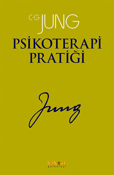 Psikoterapi Pratiği-zoom-