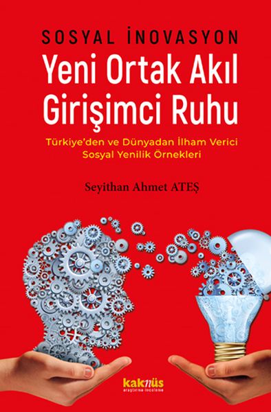 Sosyal İnovasyon Yeni Ortak Akıl Girişimci Ruhu-zoom-