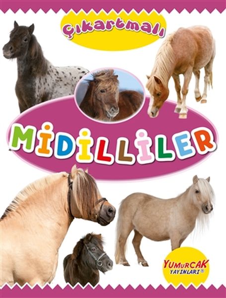 Çıkartmalı Midilliler-zoom-