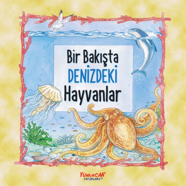 Bir Bakışta Denizdeki Hayvanlar-zoom-