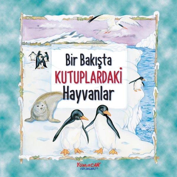 Bir Bakışta Kutuplardaki Hayvanlar-zoom-