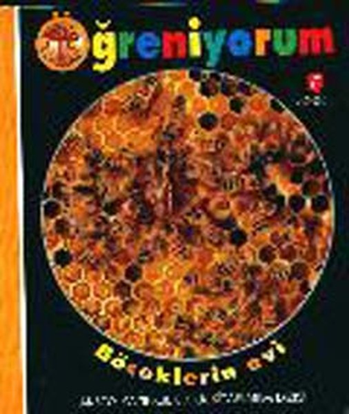 Öğreniyorum  Böceklerin Evi (Ciltli)-zoom-