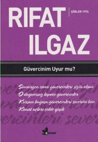 Güvercinim Uyur mu ?-zoom-
