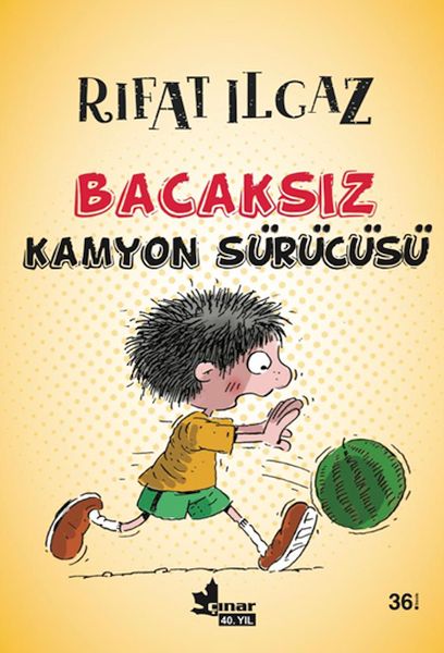 Bacaksız Kamyon Sürücüsü-zoom-