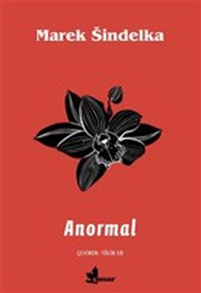 Anormal-zoom-