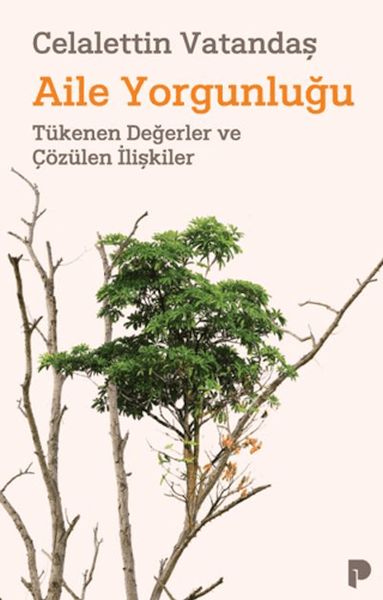 Aile Yorgunluğu-zoom-