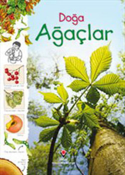 Doğa - Ağaçlar-zoom-