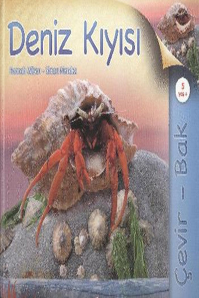 Çevir Bak Deniz Kıyısı-zoom-