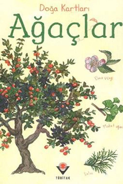 Doğa Kartları - Ağaçlar-zoom-