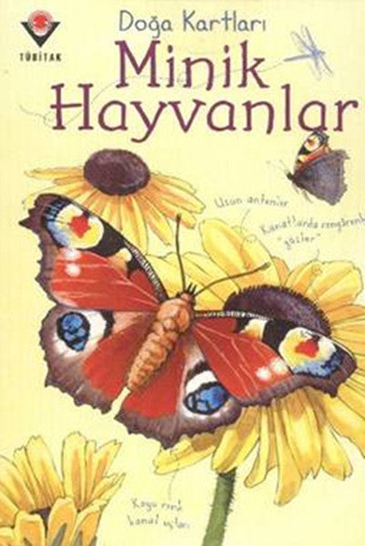Doğa Kartları - Minik Hayvanlar-zoom-