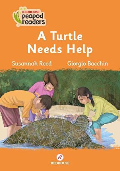 A Turtle Needs Help-zoom-