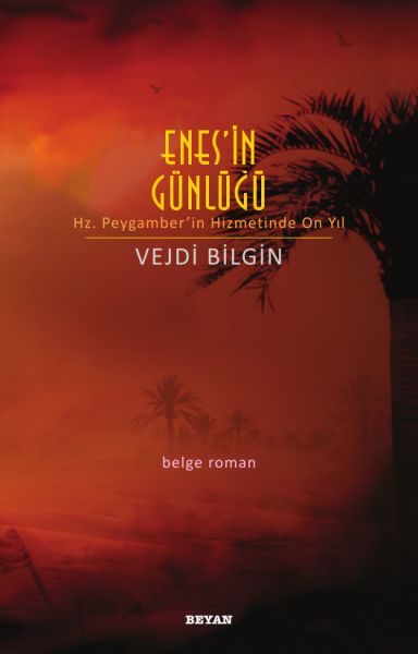 Enes'in Günlüğü-zoom-