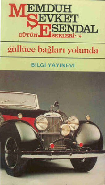 Güllüce Bağları Yolunda-zoom-