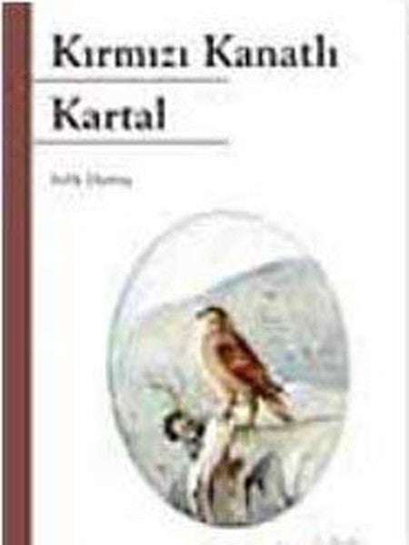 Kırmızı Kanatlı Kartal-zoom-
