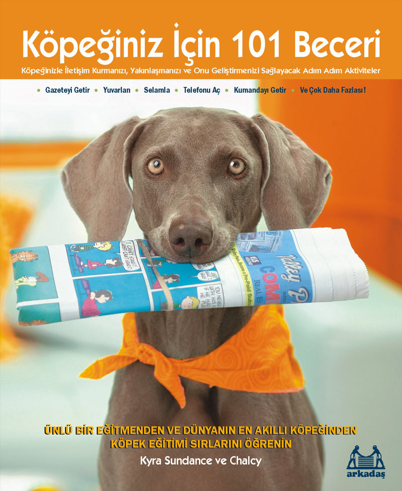Köpeğiniz İçin 101 Beceri - Adım Adım Aktiviteler-zoom-