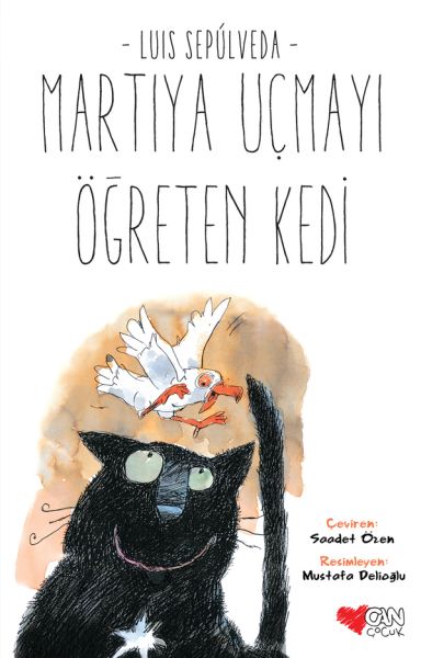 Martıya Uçmayı Öğreten Kedi-zoom-