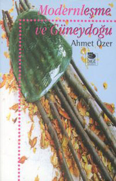 Modernleşme ve Güneydoğu-zoom-