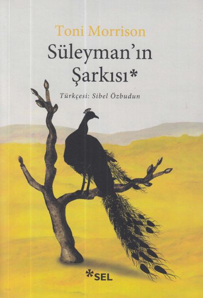 Süleyman’ın Şarkısı-zoom-