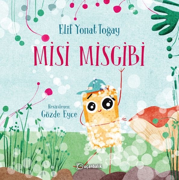 Misi Misgibi-zoom-