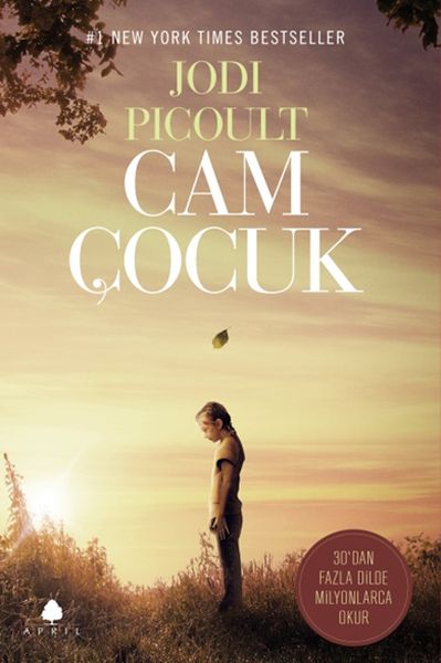 Cam Çocuk-zoom-
