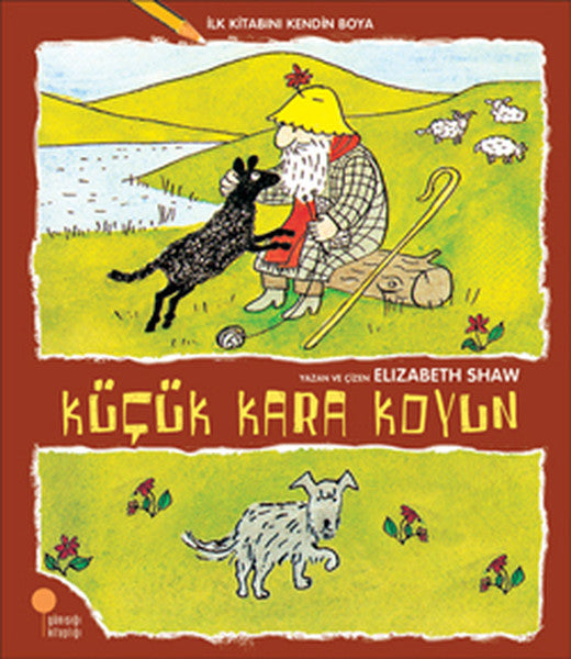 İlk Kitabını Kendin Boya - Küçük Kara Koyun-zoom-