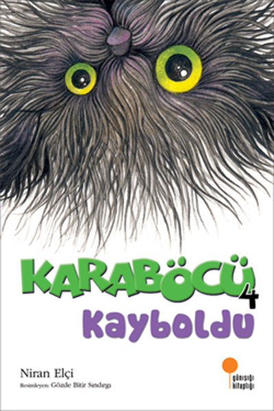Karaböcü Kayboldu-zoom-