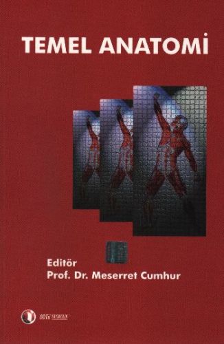 Temel Anatomi-zoom-