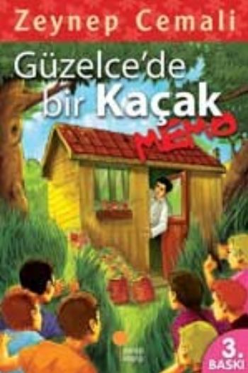 Güzelcede Bir Kaçak, Memo-zoom-