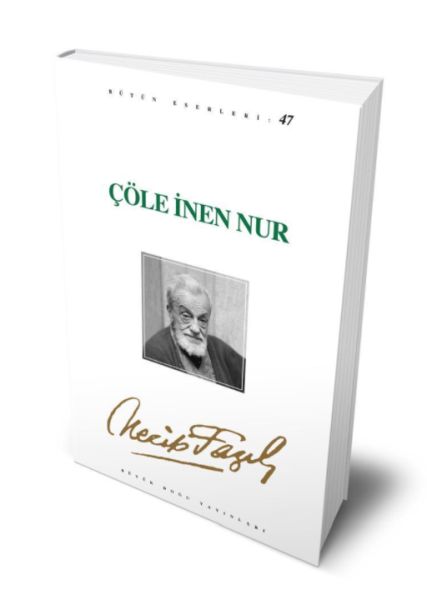 Çöle İnen Nur-zoom-