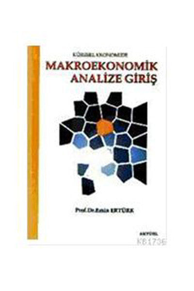 Makro Ekonomik Analize Giriş-zoom-