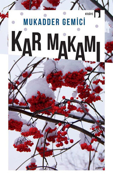 Kar Makamı-zoom-