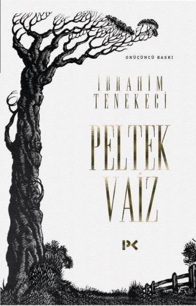 Peltek Vaiz-zoom-