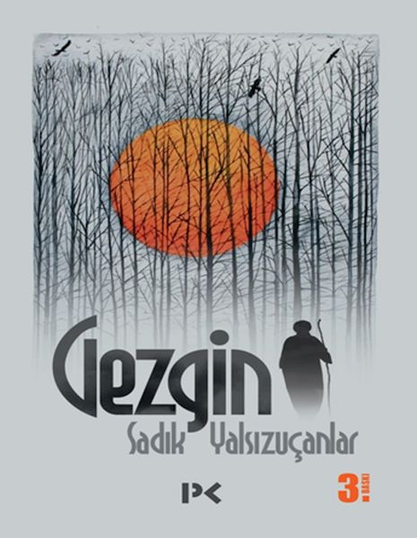Gezgin-zoom-
