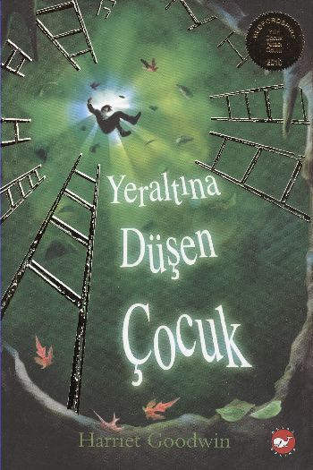 Yeraltına Düşen Çocuk-zoom-