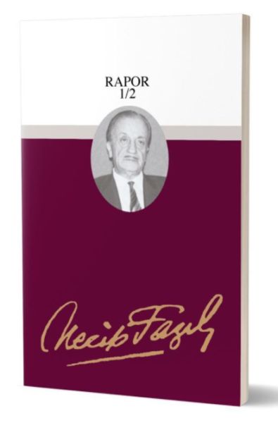 Rapor 1/2-zoom-