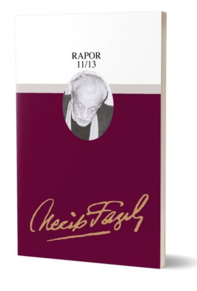 Rapor 11/13-zoom-