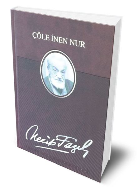 Çöle İnen Nur (Deri Ciltli)-zoom-