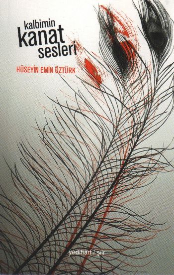 Kalbimin Kanat Sesleri-zoom-
