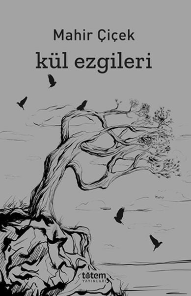 Kül Ezgileri-zoom-