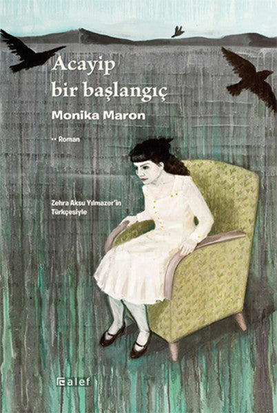 Acayip Bir Başlangıç-zoom-